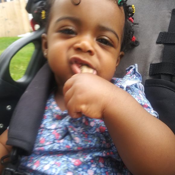 Meet your Posher, Fenel - Picture 1 of 1